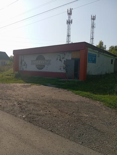 The image shows a small, single-story, rectangular building with a red corrugated metal roof. A large banner on the front of the building displays the word "ПРОДУКТЫ" (Products) in large, stylized letters, along with the word "ХОЗТОВАРЫ" (Household goods) below it, and images of people. To the right of the banner, on the building's facade, is a blue sign with text and logos, including "СТАЛЬНЫЕ КРОВЛИ И ФАСАДЫ" (Steel roofs and facades). The building has a doorway with steps leading up to it and a railing. The surrounding environment includes green grass, some trees, and a dirt and gravel road in the foreground. In the background, two tall telecommunications towers are visible against a clear blue sky. A residential house with a green roof is partially visible to the left of the main building. The image appears to be taken in NovoKopylovo, Russia.