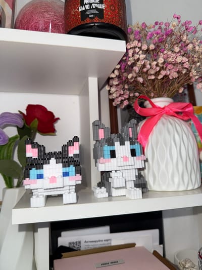 The image shows a close-up of a white shelf with several decorative items. On the top shelf, there is a round, pink, fuzzy object in a clear container, and to its right, a black jar with a red and gold patterned label. Further to the right on the top shelf is a white vase filled with a bouquet of dried baby's breath flowers in shades of pink and white, tied with a bright pink ribbon.
On the shelf below, two pixelated cat figures are prominently displayed. The cat on the left is black and white with pink inner ears and blue eyes. The cat on the right is gray and white with pink inner ears and blue eyes. Behind the cats on this shelf, there are artificial flowers, including a red rose and a purple flower.
The bottom shelf is partially visible and contains some papers and binders. The background is a light gray wall. The overall scene suggests a decorative display on shelving units, possibly in a home or retail setting. The location is identified as Pod"yapol'skoye, Russia.