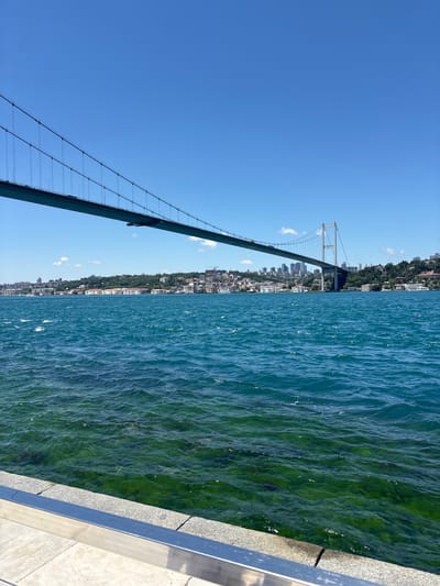 The image shows a view of the Bosphorus Bridge from a waterfront in Üsküdar, Turkey. The perspective is from a low angle, looking up at the suspension bridge which dominates the left side of the frame. The bridge is green and made of metal, with numerous cables stretching towards the sky. A clear, bright blue sky fills the upper left portion of the image, with a few wispy white clouds visible.
The right side of the image features the water of the Bosphorus, which appears a deep turquoise color with ripples on the surface. Patches of green algae are visible beneath the water's surface, suggesting shallow or clear water. Along the far bank, a city skyline is visible, characterized by a dense collection of buildings and trees climbing up a hillside. This cityscape is partially obscured by the bridge's structure. The foreground on the right shows a light-colored concrete walkway or pier with a metal railing.
The overall impression is of a bright, sunny day, likely during daylight hours given the clear sky and the illumination of the scene. There is no indication of any specific activity or event taking place, other than the presence of the bridge and the cityscape which suggest a busy urban environment. The image captures the grandeur of the bridge and the natural beauty of the waterway against the backdrop of the city. No visible text is present in the image.