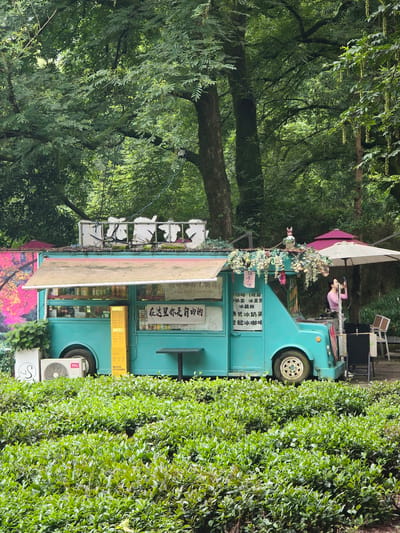 A teal-colored food truck is parked in a lush, green outdoor setting, likely in Xihu District, China, given the context. The truck features a tan awning over a service window, from which menus and products are visible. White lettering on the side of the truck, along with Chinese characters, suggests it is a food or beverage vendor. Decorative dried flowers hang from the roof of the truck, and a small, rabbit-like figurine is perched on top. To the right of the truck, a woman in a pink shirt is standing under a large white umbrella, holding a phone. An outdoor seating area with chairs and a table is also present. In front of the truck, a meticulously manicured hedge runs the width of the scene. The background is dominated by dense foliage and mature trees, indicating a park-like environment. An air conditioning unit is visible on the left side of the truck, placed in front of a planter with green plants. A large, colorful mural is partially visible on a wall behind the truck to the left.