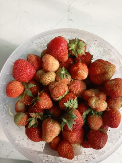 A close-up, overhead shot shows a clear plastic container filled with ripe and unripe strawberries. The container is placed on a white surface with a subtle marble pattern. The strawberries vary in color from bright red to pale pink and white, with some showing green tops. The plastic container has condensation droplets on its interior surface. The scene is indoors, and there are no people visible. The image captures a still life arrangement of fresh produce. There is no specific information or visual cues in the image to suggest its location in Shadrinsk, Russia.