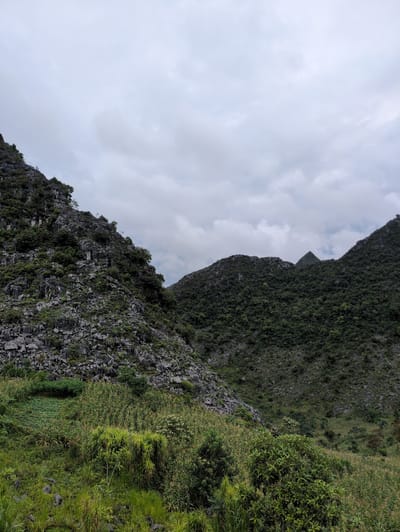 The image depicts a mountainous landscape in Sà Phìn Commune, Vietnam, characterized by steep, rocky slopes covered in dense vegetation. The sky is overcast with grey clouds. In the foreground, a lush green area with various plants and some cultivated patches suggests human activity. The midground features rolling hills covered in trees, and in the background, more distant mountain peaks are visible, also densely forested. The overall scene conveys a natural, rugged environment.