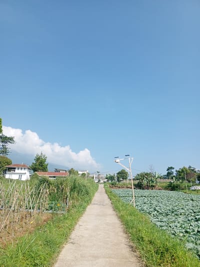 A sunny day scene in Ban Katan, Laos, features a narrow concrete path stretching towards the horizon, flanked by vegetation. To the left, a sparse field with rows of bamboo poles stands adjacent to a building with a white facade and reddish-brown roof. Behind the building, a mountain range is partially obscured by fluffy white clouds. The right side of the path reveals a lush, dense field of green leafy crops. A wooden post with solar panels attached stands along the path's edge. The sky is a clear, bright blue.