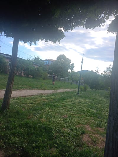 The image depicts a park-like setting with a path winding through lush green grass dotted with small white flowers. Tall trees frame the scene, with their branches and leaves creating a dappled canopy against a bright, cloudy sky. In the middle ground, a person is visible standing on the grass, appearing to be taking a break or observing the surroundings. Behind them, buildings and more trees suggest a semi-urban or suburban environment. A lamppost stands prominently on the right side of the path. The time of day appears to be late afternoon or early evening, given the quality of light and shadows. The overall mood is peaceful and serene, characteristic of a quiet day in a park. There is no visible text in the image. The location context provided is Mineralni Bani, Bulgaria.