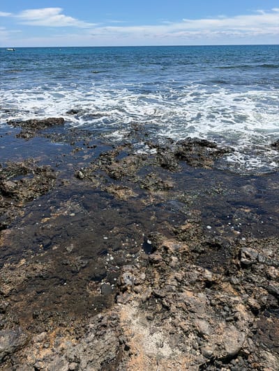 The image displays a rugged coastline where the deep blue ocean meets a dark, textured shore under a clear sky. The scene captures the natural interaction of waves against volcanic rock, characteristic of the Haría region in Spain.

On the left, the Atlantic Ocean stretches towards the horizon, exhibiting various textures. Closer to the shore, the water is a frothy white as waves crash and recede over the rocks, creating dynamic patterns. Further out, the ocean appears calmer, with subtle ripples and sparkling reflections of the bright sunlight. The sky above is a vibrant blue, dotted with scattered white, wispy clouds, indicating good weather conditions.

The right side of the image is dominated by the volcanic coastline. The rocks are dark, porous, and highly textured, with shades of black, grey, and earthy brown. Portions of the rock surface are visibly wet and glistening from recent wave contact, while other areas are dry. In the shallow water over the rocks, submerged formations are visible, along with small, bright specks that could be reflections or mineral deposits. The overall impression is one of a sun-drenched, natural, and untouched coastal landscape. There are no people, man-made objects, or visible text in the frame. The time of day appears to be bright daytime.