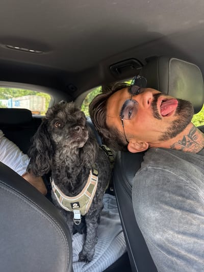 A medium shot captures a man and a black poodle mix dog inside a car. The man is positioned in the foreground, leaning his head back against the headrest, with his tongue sticking out. He is wearing sunglasses and a grey t-shirt, and has visible tattoos on his neck and chest. The dog, wearing a tan and green harness, sits in the backseat to the left of the man, looking to the left. The car's interior, including seats and the ceiling, is visible. Outside the car, through the windows, blurry greenery and a white truck are discernible, suggesting an outdoor, possibly rural setting. The overall impression is a candid, informal moment between the man and his dog. The image is taken in Kresna, Bulgaria, likely during daylight hours.