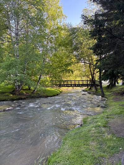 The image depicts a flowing river in Belokurikha, Russia, surrounded by lush green grass and trees. A black metal bridge spans the river. The water appears to be slightly murky. The sky is visible in the upper left corner, indicating a clear day. The image captures a natural setting within the urban landscape of Belokurikha.