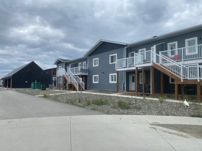 In Whitehorse, Canada, a street view captures a row of newly constructed blue apartment buildings with white balconies and stairs. The buildings are set against a cloudy sky. To the left, a dark, angular structure with a sloped roof, possibly a storage facility or garage, stands partially visible. The foreground features a paved road and sidewalk, with a gravelly area between the sidewalk and the apartment buildings. Scattered green vegetation and small yellow wildflowers grow in the gravel. A small, white and black dog is seen sniffing the ground in the gravelly area near the apartment buildings. The scene appears to be an outdoor, residential area under construction or recently completed.