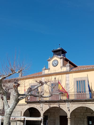 The image depicts the Ayuntamiento (Town Hall) building in Piedrahíta, Spain, under a clear blue sky on a sunny day. The multi-story structure features a pale yellow facade with a red-tiled roof. A central clock tower rises above the roofline, displaying a white clock face with black Roman numerals indicating approximately 10:55. Above the clock is an ornate, dark-colored, open belfry or lantern structure with a pointed finial.
Below the clock tower, a long balcony with a black wrought-iron railing spans the upper floor. Two flags are draped over this railing: the Spanish national flag (red, yellow, red horizontal stripes) on the left, and the European Union flag (blue with a circle of twelve yellow stars) on the right. The ground floor of the building features a series of stone arches forming a portico, with the base of stone columns visible. Hints of commercial establishments, including a white awning, are present beneath the arches on the left side.
In the left foreground, a large, leafless deciduous tree with mottled grey and white bark and numerous bare branches partially obscures the building. No people are visible in the scene.