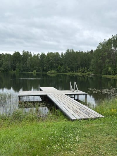 The image depicts a serene lakeside scene, presumably in the city of Mars, Russia, on an overcast day. In the foreground, a wooden dock extends into a calm body of water. The dock is constructed of light-colored planks and features a set of metal steps leading down to the water. The surrounding environment is lush and green, with tall grass and some small white wildflowers growing along the bank. In the middle ground, the lake is bordered by a dense line of trees, creating a natural backdrop. The water reflects the overcast sky and the trees, adding to the tranquil atmosphere. There are no people or animals visible in the image.
