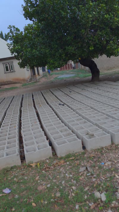 The image shows rows of concrete blocks stacked on a dirt and grassy surface, likely in an outdoor storage or production area. A tree with dense foliage is visible to the left of the blocks. A building with a window is in the background. Several birds are perched on the blocks. The location is assumed to be in Masaka, Nigeria.