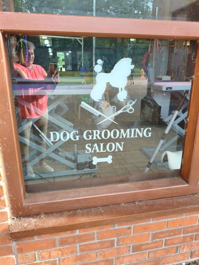 The image is a medium shot of a shop window with a wooden frame, set against a brick wall. The window displays text and graphics indicating it is a "DOG GROOMING SALON". A person is visible in the reflection, holding a mobile phone and taking a selfie. Inside the shop, a grooming table, scissors, a comb, and a white poodle silhouette graphic are visible on the window. The exterior window ledge is covered in dust and debris. The scene appears to be a commercial establishment.