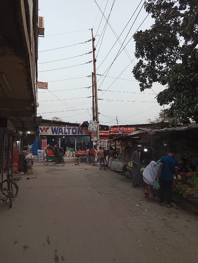 This image captures a street scene in Tarabo, Bangladesh, under an overcast sky. On the left, a multi-story concrete building with an exterior air conditioning unit houses ground-level shops. A prominent "WALTON" electronics store, distinguished by its blue and white signage, is visible further down the street on the left. A green and red rickshaw is positioned in front of this store, where approximately six individuals are standing or interacting. A small brown dog is seated on the ground near the Walton store.
On the right side of the street, multiple makeshift market stalls with draped tarpaulin or corrugated metal roofs display various fresh vegetables and produce. Approximately ten individuals are present around these stalls. In the immediate foreground on the right, one person in a blue shirt and another in a light head covering (hijab) are examining produce at a stall, with the latter holding a green plastic bag. Further back, a man in a long, light-colored robe and a white skullcap is standing near another stall.
Overhead, several wooden utility poles support a dense network of black electrical or communication wires crisscrossing the light grey sky. A large tree with dark green foliage is visible on the far right upper quadrant. The street surface appears to be unpaved or poorly paved earth and asphalt. A black bicycle is parked upright on the far left.