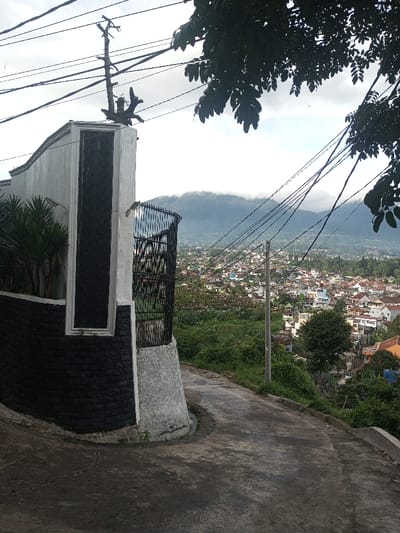 The image captures a panoramic view of a densely populated valley and mountain range from an elevated perspective. In the foreground, a concrete road curves to the right, bordered by a prominent wall and a black metal gate on the left. The wall features a black brick lower section, transitioning to a white stucco or concrete upper part with decorative black vertical panels. A gnarled, dead tree stump rests on top of the wall, and some green foliage is visible behind it.
Numerous black power lines crisscross the sky, supported by a utility pole visible further down the road on the right. Dark green leaves from an unseen tree partially obscure the upper right corner of the frame.
The midground is dominated by a sprawling residential area, with numerous houses featuring varied colored roofs, nestled among green vegetation on the slopes of the valley. Another utility pole stands within the settlement. In the background, a large mountain range rises majestically, its peaks partially enveloped by clouds or mist.
The scene depicts a daytime setting, with a soft, overcast sky providing diffused light. No people or specific activities are visible, creating a quiet landscape view. The terrain suggests a hilly or mountainous region, consistent with the provided location context of Yusipang, Bhutan. There is no visible text in the image.