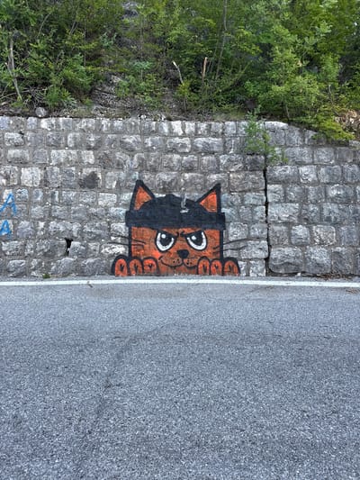 The media file depicts an outdoor scene in Bukovik, Montenegro, characterized by a stone wall and an asphalt road. The stone wall, constructed from rough-hewn blocks, shows signs of age and weathering, with visible cracks and some vegetation growing between the stones. On the wall, a graffiti artwork of a cartoon cat is prominently displayed. The cat is orange with black accents around its eyes and ears, and it has large white eyes with black pupils. It appears to be peeking out from behind the wall, with its paws visible. The asphalt road runs alongside the wall, separated by a white line. The road surface is textured and appears to be well-maintained. To the left of the stone wall, dense green vegetation, including trees and bushes, can be seen, suggesting a natural or semi-wild environment. The overall scene conveys a sense of an urban or roadside setting integrated with nature. The lighting suggests it is daytime, and the weather appears to be fair. No people are visible in the media file. There is some blue spray-painted text on the lower part of the stone wall, but it is too indistinct to read.
