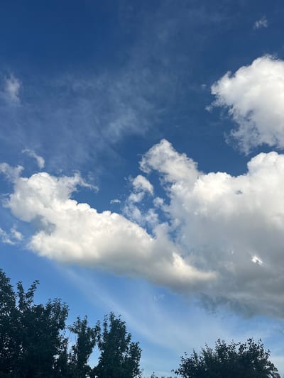 A low-angle shot shows a vibrant blue sky filled with a variety of clouds above the dark silhouettes of trees. The clouds range from thin, wispy cirrus to large, puffy cumulus formations. Some of the cumulus clouds appear bright white, illuminated by sunlight, while others are starting to show gray undersides, suggesting potential for rain. Wispy, streak-like clouds are visible in the mid-ground, and a broader band of lighter clouds stretches across the upper-middle portion of the sky, creating a layered effect. The trees in the foreground are dense and dark, their leaves silhouetted against the sky, creating a strong contrast. The scene captures a dynamic sky on what appears to be a partly cloudy day. The image is located in the city of Tobyl, Kazakhstan.