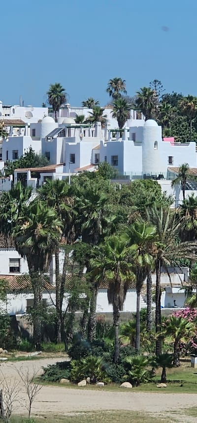 This media file captures a scene of white, multi-story buildings with a distinctive Mediterranean architectural style, characterized by rounded domes and clean white facades. The buildings are interspersed with lush green palm trees and other foliage, suggesting a warm climate. The image is oriented vertically, with the buildings and trees appearing to ascend from the bottom to the top of the frame. A dirt path or road runs along the right side of the image, bordered by grass and rocks. The sky is a clear, bright blue, indicating a sunny day. The time of day appears to be daytime, likely mid-morning or afternoon, given the strong sunlight casting shadows. There are no people visible in the frame. The scene suggests a resort or residential complex in a coastal or warm-weather location. The location context provided, Algeciras, Spain, aligns with the architectural style and vegetation depicted.