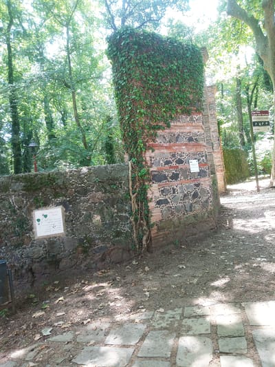 The image depicts an outdoor scene in the Parc Nou Casal dels Volcans in Olot, Spain. A tall, stone and brick structure, partially covered in ivy, dominates the left side of the frame. A rough stone wall extends from the left, with a plaque attached to it. To the right of the ivy-covered structure, a pathway of flagstones leads into a wooded area. A brown informational sign with text and symbols is visible on a pole near the pathway. The ground is covered in dirt, fallen leaves, and scattered stones. The overall environment is lush and green, suggesting a natural park setting with remnants of old structures. There are no people visible in the image.