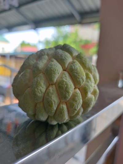 A custard apple rests on a reflective metal surface. The fruit, pale green with a textured, segmented rind, is the primary subject. It is positioned on the left side of the frame, slightly off-center. The background is softly blurred, suggesting an outdoor setting with a roof structure overhead and greenery visible in the distance. The lighting indicates it is daytime, likely with bright, diffused light. The metal surface reflects the fruit and hints at the surrounding environment, including some colorful shapes and what appears to be a light-colored wall or building. The overall scene is simple and focused on the fruit, with the environment providing a slightly out-of-focus backdrop. No people or text are visible in the image. The location context of San Pascual, Philippines, suggests a warm, possibly tropical environment, which aligns with the appearance of the fruit and the natural elements in the background.