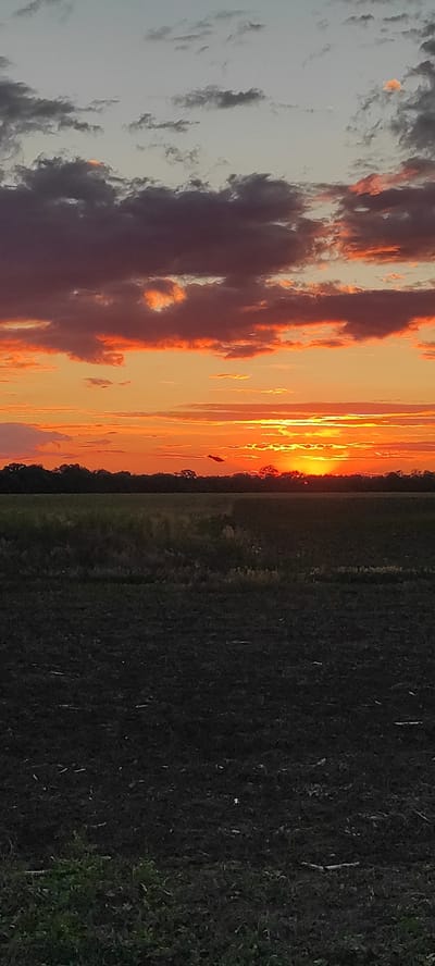 The image depicts a sunset over a rural landscape, likely in or near the city of Kobeliachok, Ukraine. The sky is filled with vibrant colors, ranging from deep oranges and reds near the horizon to lighter shades of yellow and grey higher up. Dramatic, dark clouds are interspersed with lighter, wispy clouds. The sun is setting just above a silhouetted treeline in the distance. In the foreground, there is a large, dark field, appearing to be recently plowed or tilled, with some sparse vegetation visible along the bottom edge. A second field, with greener vegetation, is located behind the tilled field, before the treeline. The overall impression is one of a vast, open, and natural landscape bathed in the warm glow of the setting sun. There are no people or identifiable structures visible in the scene. The image appears to have been captured from a slightly elevated position, looking out over the fields towards the horizon.