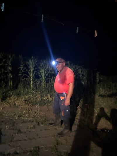 A man wearing a headlamp, a red shirt, and dark pants stands in a field at night. The headlamp illuminates the man's face and a portion of the corn stalks behind him. Several clothespins hang on a wire above and behind the man. The ground appears to be dirt and scattered vegetation. The scene suggests an outdoor setting, possibly agricultural, given the presence of corn stalks. There is no indication that this scene is located in Tandzia, Georgia.