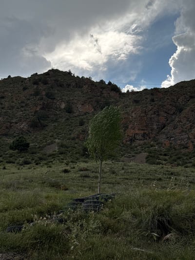 The image depicts a natural landscape with a steep, rocky hillside in the background. The hillside is covered in sparse vegetation and appears to be composed of reddish-brown rock. Several utility lines are strung across the hillside. In the foreground, there is a grassy field with a single, slender tree in the center. The tree has a full canopy of green leaves and is swaying slightly, suggesting a breeze. In front of the tree, a collection of dark, round objects, possibly old tires, are partially obscured by tall grass. The sky above is dramatic, with a mix of dark, heavy clouds and bright, illuminated sections where the sun is breaking through. The overall scene is rural and appears to be located in Kyzyl-Korgon, Kyrgyzstan, characterized by its mountainous terrain and open, undeveloped spaces. There are no people or animals visible in the frame.