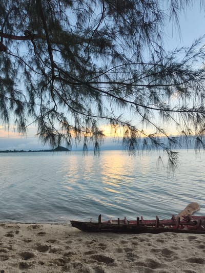 An upward-angled, vertical, medium shot captures a serene beach scene at Baan Lipa Noi, Thailand. The foreground is dominated by textured, light-colored sand, showing subtle footprints. Partially submerged in the shallow, calm water at the edge of the sand is the decaying hull of a red wooden boat. In the mid-ground, the tranquil sea stretches out to the horizon, reflecting the soft hues of the setting sun, casting a golden glow across its surface. A small, tree-covered island is visible on the left horizon, with a faint outline of land and mountains beyond it. The upper portion of the image is framed by the dark, feathery branches of a pine-like tree, with its needles creating a delicate silhouette against the pale blue and orange sky. The overall atmosphere is peaceful and natural.