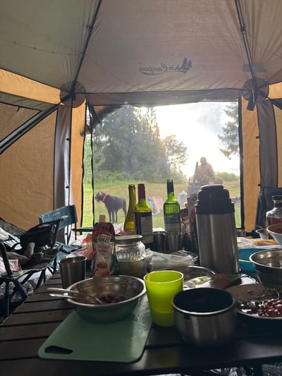 This is an indoor shot of a tent interior, looking outwards toward a grassy field with trees in the background. The sun is visible through the trees. A dark-colored dog with an orange collar is standing in the field. A person in camouflage clothing is also visible in the distance, standing near what appears to be a campfire or stove.

Inside the tent, a table is set with various items, including bottles of wine, jars, bowls, a thermos, and a pouch of Heinz chili sauce. There are also some cups and utensils. Two camping chairs are visible on the left side of the frame. The tent itself is made of a tan-colored fabric and has a mesh screen at the opening. The overall impression is that of a campsite meal. The mention of Bobrovo, Russia, is not supported by any visual evidence in the image itself.