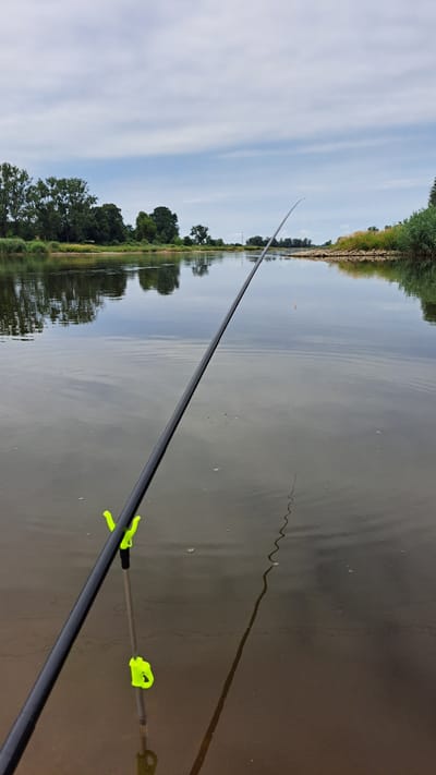The image depicts a fishing rod resting on a stand in the shallow water of a river. The riverbank, lined with trees and reeds, is visible in the background under a cloudy sky. The scene suggests a tranquil moment of fishing.