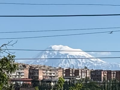 The image depicts a view of Mount Ararat in the background, with a residential area in the foreground, as seen from Ashtarak, Armenia. The mountain is snow-capped and majestic against a clear blue sky. In front of the mountain, there are several multi-story apartment buildings with a mix of architectural styles, suggesting an urban or semi-urban setting. Some trees and branches are visible in the lower left and bottom of the frame, partially obscuring the view. Power lines crisscross the image horizontally, dividing the scene into different layers. A single bird is captured in flight in the upper right portion of the sky. The overall impression is a juxtaposition of natural beauty and urban development.