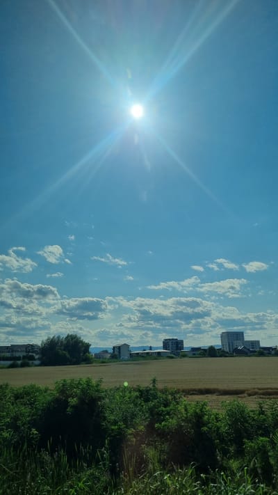 A wide-angle, vertical, outdoor photograph taken during the day shows a bright sun with prominent starburst lens flare dominating the upper half of the sky. The sky is a clear, vibrant blue with scattered white, fluffy cumulus clouds. Below the sky, a field of dry, golden-brown crops, likely wheat or barley, stretches across the middle ground. A line of lush green vegetation, including tall grasses and bushes, forms a dense foreground. In the background, a row of buildings is visible, including a tall, modern white apartment building on the right, several smaller residential buildings, and a darker, multi-story building in the center. The overall scene depicts a rural or semi-rural setting on a sunny day. The image is consistent with a view from the outskirts of Rădăuți, Romania.