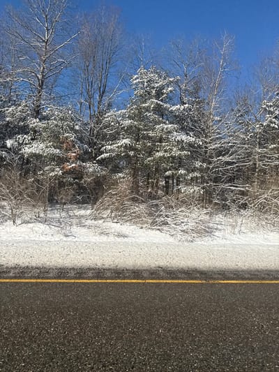 The image depicts a serene winter landscape, primarily featuring a road, a snow-covered roadside, and a line of trees against a clear blue sky.

The scene is dominated by a dark asphalt road, occupying approximately the right half of the frame when viewed correctly oriented (the original image is rotated 90 degrees counter-clockwise). A bright yellow dividing line runs horizontally along the center of the road, separating the visible lane from the unseen other half.

To the left of the road, a strip of ground is covered in fresh, white snow. This snowy shoulder transitions into a dense line of trees and bushes. Many of the deciduous trees are bare, their branches dusted with snow, while evergreen trees are heavily laden with snow, creating a striking contrast against their dark foliage. The snow on the ground and trees appears untouched, suggesting a recent snowfall.

The sky, visible above the trees on the far left, is a vibrant, clear blue, indicating sunny weather after the snow. The bright sunlight casts soft shadows on the snow-covered ground, suggesting it is daytime, likely morning or early afternoon.

There is no discernible activity taking place, nor are any people or animals visible. The scene is static, capturing a quiet winter moment. No text is visible within the image. The location context provided is Lancaster, United States.