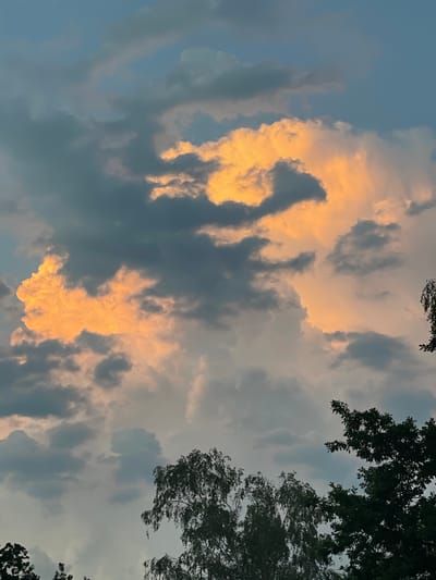 The image captures a dramatic sky filled with clouds illuminated by the setting sun. Several large cumulus clouds are visible, with some parts glowing a vivid orange and yellow, suggesting they are catching the last rays of sunlight. Other clouds are a darker, grayish-blue, creating a strong contrast and adding depth to the sky. The sky itself is a mix of blue and gray tones, indicative of the transition from day to evening.
In the foreground, the silhouettes of trees are visible at the bottom of the frame. These trees appear to be deciduous, with leafy branches extending upwards towards the sky. Their dark forms contrast sharply with the illuminated clouds above. The foliage suggests a natural or park-like setting.
The image does not contain any people or specific objects that would indicate a precise urban location beyond general trees and sky. However, based on the context provided, this scene is situated in Beltershain, Germany. The overall impression is one of natural beauty and the dynamic spectacle of a sunset.