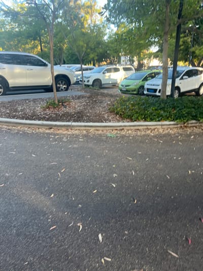 The image presents a ground-level view of a parking area in Applecross, Australia. The immediate foreground is composed of dark grey asphalt, sparsely scattered with light brown and reddish dry leaves. A low, light grey concrete curb runs horizontally across the mid-ground, separating the asphalt from a landscaped median.
This median contains dark brown bark mulch with minimal green ground cover and several slender tree trunks. Behind this median, a row of vehicles is parked. From left to right, a white SUV, consistent with a Toyota Fortuner, is partially visible, with its front left wheel positioned on the mulched area. Next to it, a white utility vehicle, appearing to be an Isuzu D-Max, is parked. Adjacent to the utility vehicle is a bright green hatchback, resembling a Honda Jazz or Fit. To its right, a white five-door hatchback, consistent with a Mitsubishi Mirage, displays a blue accessory or cover on its front. Further white vehicles are partially obscured by dense green foliage and trees in the background, which define the perimeter of the parking area. The lighting suggests natural daylight, possibly late afternoon or early morning, casting soft shadows. No individuals are present, and no actions or interactions are observed.
