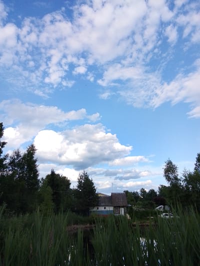This image captures a serene landscape in Snopok Novyi, Russia. The scene is dominated by a bright blue sky filled with fluffy white cumulus clouds, suggesting it is daytime and the weather is fair. In the foreground, tall green reeds or grass line the edge of a body of water, which reflects the sky and surrounding trees.
Behind the reeds, a small, rustic house with a corrugated metal roof is visible, partially obscured by trees. The house appears to be made of wood and has elements of blue and red painted on its facade. A white car is parked nearby, hinting at human presence. The background is filled with dense green trees, typical of a rural or wooded area. The overall mood of the image is peaceful and tranquil, evoking a sense of rural calm. No text is visible in the image.