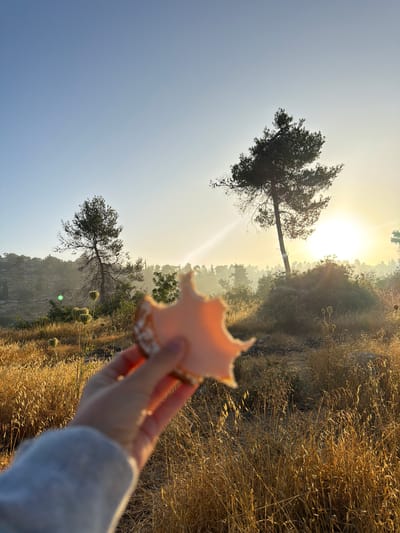 A close-up, first-person perspective shot shows a hand holding a light pink object, possibly a cookie or a piece of food, in the foreground. The hand is wearing a light gray sleeve. The background features a dry, golden field with scattered plants and tall grasses. In the mid-ground, a solitary tree with a leaning trunk stands on a small hill, silhouetted against a bright, hazy sun. The sun is positioned on the right side of the frame, casting a warm glow and creating lens flare. Further in the background, a hazy landscape of hills and trees is visible. The sky is a clear, light blue, transitioning to a pale yellow near the horizon. The overall scene suggests an outdoor setting in a natural landscape, likely during sunrise or sunset, in the region of Mate Yehuda Regional Council, Israel, characterized by its dry vegetation and hilly terrain.