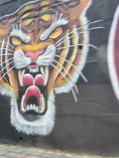 The image shows a graffiti painting of a roaring tiger's head on a dark, horizontally lined wall. The tiger's mouth is open, revealing sharp white teeth and a red tongue and inner mouth. Its eyes are yellow with black pupils, and it has white whiskers. The painting is stylized, with bold lines and vibrant colors. The wall appears to be an exterior surface, possibly part of a building or a retaining wall. The bottom of the image shows a blurred sidewalk with some green grass and a pinkish mark. The overall impression is that of a dynamic and aggressive piece of street art. The location is identified as Salerno, Italy, suggesting this is a public artwork in that city.