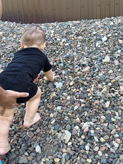 An overhead shot captures a baby or toddler, dressed in a black long-sleeved top and black shorts, on their hands and knees on a surface covered with gravel. The child's face is not visible as their back is to the viewer, but their small hands are placed on the pebbles as if exploring or attempting to crawl. An adult's hand is visible on the right side of the frame, gently supporting or guiding the child by their shorts.
The ground is densely covered with a mix of small to medium-sized pebbles and rocks, exhibiting a variety of natural colors including shades of grey, brown, white, and hints of green and reddish-brown. To the left, a vertical section of a corrugated brown metal wall or siding is visible, punctuated by several evenly spaced dark fasteners. The scene is outdoors, likely during daytime, under soft lighting without harsh shadows. The setting suggests an area in Zykova, Russia, possibly a backyard or a path next to a building. No visible text is present in the image.