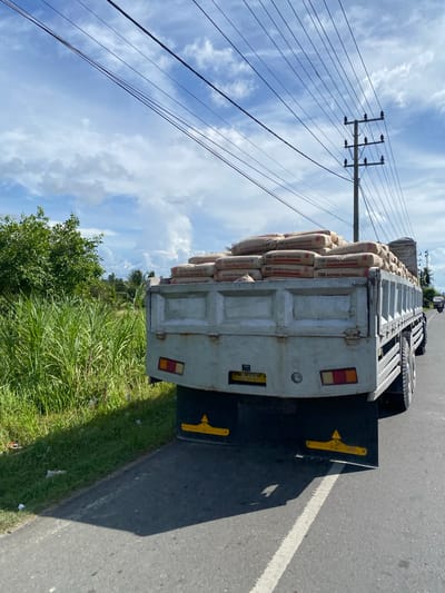 A vertical, eye-level, medium shot captures a truck hauling sacks of cement on a paved road in Payarangkuluh, Indonesia. The truck, a light gray dump truck, is filled with stacks of beige cement bags, each labeled "SEMEN PADANG" and "FCC". The bags are arranged in neat rows, filling the truck bed. The truck's rear is visible, with yellow reflectors and a license plate reading "DL 0173 03-29".
The truck is on the right side of the road, which has a white line marking its edge. The left side of the image is dominated by a telephone pole with multiple wires stretching across a bright blue sky with scattered white clouds. Lush green grass and trees line the side of the road. The scene suggests a sunny day, possibly late morning or early afternoon, given the bright light and clear sky. The overall impression is one of industrial transportation and the everyday activities of a rural Indonesian setting.