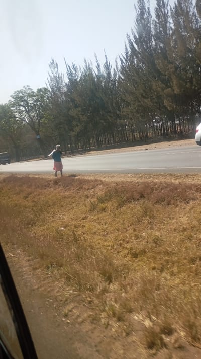 The image captures an outdoor scene from a slightly elevated perspective, seemingly taken from inside a moving vehicle, with a dark frame or window edge visible in the bottom left corner. The scene depicts a roadside environment under bright, sunny conditions.

The foreground is dominated by dry, yellowish-brown grass and dirt, indicating a dry climate or season. This natural ground covers the lower half of the image, leading up to a paved road.

In the midground, a two-lane paved road stretches across the frame, running from left to right. A solid white line marks the edge of the road, separating it from the dirt and grass shoulder. A person, appearing to be an older woman, is visible walking on this dirt shoulder to the left of the white line. She is dressed in a light-colored, possibly white or very light blue, long-sleeved top and a vibrant pink or light red skirt that reaches below her knees. Her arms are slightly bent and extended outwards, suggesting she might be balancing, gesturing, or calling out. Further down the road on the far left, a dark-colored vehicle, possibly a truck or an SUV, is partially visible. On the far right side of the road, the rear section of a white car is also partially visible, moving away from the viewer.

The background is filled with vegetation. A long, dense line of tall, slender evergreen trees, possibly pines or cypress, stands parallel to the road, extending across the entire upper middle section of the image. These trees have dark green to brownish-green foliage and are closely spaced. To the left of this dense line of evergreens, a larger, more rounded deciduous tree with brighter green leaves is visible. The sky above is bright and clear, with a slight haze, suggesting a sunny day, likely during late morning or afternoon.

The overall impression is one of a rural or semi-rural road during warm, dry weather. No discernible text is visible on any objects, signs, or vehicles within the image.