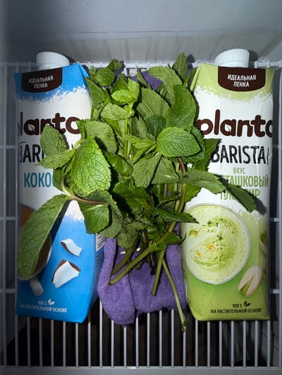 The image shows two cartons of "Planto" plant-based milk placed inside a refrigerator. The cartons are positioned vertically on a wire shelf. The top carton has a green label featuring an image of pistachio ice cream and text in Russian, including "planto BARISTA" and "100% НА РАСТИТЕЛЬНОЙ ОСНОВЕ" (100% on a plant-based foundation). The bottom carton has a blue label with an image of coconut pieces and similar Russian text, including "planto BARISTA KOKO" and "100% НА РАСТИТЕЛЬНОЙ ОСНОВЕ".

A bunch of fresh mint leaves is placed on top of the cartons, partially obscuring the text on the top carton. A small purple cloth is visible beneath the mint leaves, between the two cartons. The interior of the refrigerator is visible, characterized by white plastic walls and a white grid shelf. The lighting suggests an indoor setting, likely a kitchen. The image is taken from a top-down perspective. No people are visible.