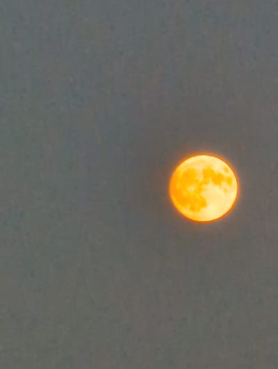 A full moon, illuminated with an orange hue, is visible in a dusky, grayish sky. The moon is positioned slightly to the right of the center of the frame and appears to be the sole celestial body in view. The sky lacks any discernible clouds or other atmospheric phenomena that would obscure the moon. The overall image composition is simple, focusing solely on the moon against a muted background. There are no indications of any specific location within St. Peter, Germany.