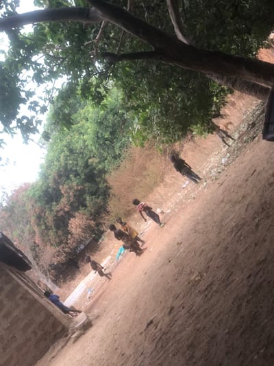 This image depicts an outdoor scene in Ninzo South, Nigeria. The foreground is dominated by reddish-brown dirt ground, appearing uneven. To the left, a partial view of a low-rise building constructed from light-colored concrete blocks is visible, with a blue-clad individual lying or sitting against its base. Further right on the dirt ground, a group of five individuals, primarily children, are scattered.
From left to right within this group:
* A child, possibly male, is running or stepping forward, partially obscured, wearing dark shorts.
* Three children stand closer together, appearing to observe something. One wears a light-colored, patterned garment; another has a darker wrap. Their specific actions are not clearly discernible beyond standing.
* Another child, further right, stands wearing dark shorts and a top that appears to have a red or striped pattern over the shoulders. This child's posture suggests standing still.
Further into the midground, a lone individual in dark clothing stands facing away from the camera, looking towards the right. Another, more distant figure, also in dark attire, is partially visible towards the upper right.
The background consists of dense vegetation, transitioning from lush green trees and foliage in the upper left and center to drier, brownish scrub and sparse trees on the right side. The sky is largely obscured by the tree canopy in the upper frame, but appears overcast or bright white where visible. Scattered debris, including white plastic fragments, is visible on the ground, particularly along the midground dirt path and near the vegetation. A prominent tree branch extends diagonally from the upper left towards the upper right, partially framing the scene.