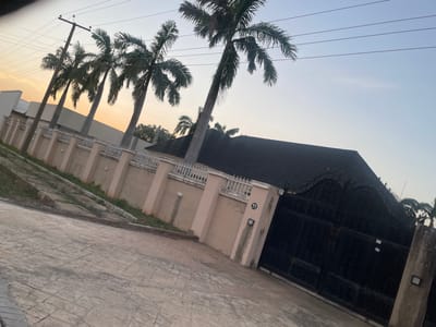 The image depicts a street scene in the city of Wauro Jabbe, Nigeria. The foreground is dominated by a paved driveway made of interlocking concrete blocks, laid in a patterned arrangement. To the left, a sloped grassy area bordered by concrete curbs leads up towards a wall. The wall, painted a light pinkish-beige, runs horizontally across the frame and is topped with a white decorative railing. Several palm trees with tall, slender trunks and sparse foliage are visible behind the wall, leaning slightly towards the right. Overhead, utility wires are strung across the sky. In the background, a dark, pitched roof of a building is visible behind the palm trees, and a large, black metal gate stands closed on the right side of the image. A house number "11" is affixed to one of the wall's pillars. The sky suggests it is either early morning or late evening, with a pale gradient of color from light yellow at the horizon to light blue at the top. No people or animals are present in the scene.