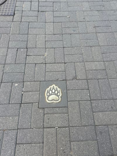 The image shows a close-up, overhead view of a paved sidewalk in the city of Feklino, Russia. The sidewalk is constructed with dark grey rectangular pavers laid in a running bond pattern. In the center of the frame, embedded within one of the pavers, is a decorative metal inlay shaped like a bear's paw print. The paw print is outlined in a lighter metallic color and features five distinct toe pads and a larger heel pad. The surrounding pavers are slightly worn and show some minor debris, including what appear to be cigarette butts scattered across the surface. To the upper left of the image, a portion of a metal grate, possibly a drain cover, is visible. The lighting suggests it is daytime, with sunlight casting subtle shadows.