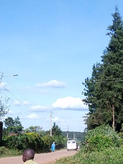 The image shows a street scene in Bibirioni ward, Kenya, on a sunny day with a blue sky and scattered clouds. Power lines stretch across the sky. In the foreground, a child stands with their back to the camera. Further down the dirt road, a woman in a blue dress walks away from the camera. A white van is driving on the road in the same direction as the woman. Lush green vegetation borders the road, with taller trees on the right side. Streetlights are visible further down the road.