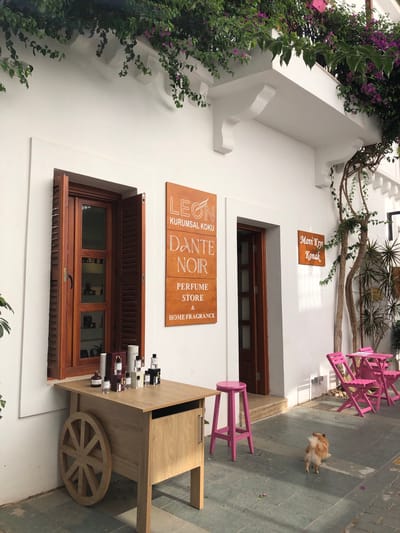 This image depicts the exterior of a shop in Kaş, Turkey, featuring a white stucco facade adorned with flowering vines. In the foreground, a light wooden cart with a large wooden wheel displays various perfume bottles and boxes. To the left, a wooden window with open shutters reveals shelves filled with more merchandise. A wooden sign with white text reading "LEON KURUMSAL KOKU DANTE NOIR PERFUME STORE & HOME FRAGRANCE" is mounted on the wall. To the right of the entrance, another wooden sign reads "Mavi Kıyı Konak". Bright pink stools and a table with chairs are visible on the patio. A small, fluffy dog with light brown fur walks away from the camera towards the right side of the image. The scene is lit by natural sunlight, casting shadows on the paved ground.