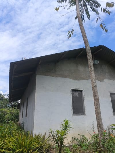A simple, one-story house with a corrugated metal roof stands against a cloudy sky. The exterior is painted white, with visible areas of unfinished grey concrete. A tall, slender tree trunk partially obscures the building's facade. Two rectangular windows are visible. Overgrown vegetation surrounds the base of the house. A security light is mounted high on the exterior wall.