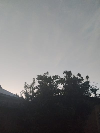 The image shows a dark silhouette of trees and a portion of a roof against a pale, overcast sky. The scene appears to be an outdoor view from a low angle, possibly from the ground looking up. The sky occupies the majority of the frame and is a uniform light gray. The foliage of the trees is dense and dark, obscuring much of their detail. A sloped roof with visible texture is visible on the left side of the image, partially obscured by the trees. The overall impression is one of a subdued, perhaps early morning or late evening atmosphere, with no people or specific identifiable landmarks within the frame. There are no discernible details about the city of Cîrpești, Moldova, as the image is devoid of context.