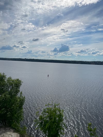 The image displays a vast natural landscape featuring a wide body of water, presumably a large river or lake, under a dynamic sky. The scene is captured from an elevated perspective, looking across the water towards a distant shoreline.

The upper portion of the frame is occupied by a bright sky, adorned with a mix of white and light gray clouds. These range from elongated, wispy formations to more defined cumulus clouds, indicating a partly cloudy day with ample sunlight.

The central and lower-left area of the image is dominated by the expanse of water, which appears to shimmer with myriad small reflections, suggesting a gentle ripple or wave pattern caused by sunlight. A solitary, small, red conical buoy is visible floating in the water, positioned towards the right side, indicating a navigable waterway.

Along the distant horizon, a long, dark strip of land represents the opposite bank. This shoreline appears heavily forested, with a dense treeline, and subtle hints of distant structures or settlements can be perceived within the greenery.

In the bottom-right foreground, several branches of lush green trees or bushes extend into the frame, partially obscuring the water. A light-colored, rocky surface is also visible in the very bottom right corner, suggesting the viewpoint is from a cliff or high bank overlooking the water.

The scene depicts a serene, bright daytime setting. There is no visible human activity, though the buoy implies a potential for boating. The weather is clear with scattered clouds. No text is visible in the image. The expansive water and distant forested shore are consistent with landscapes found in areas like Пятый километр, Russia.